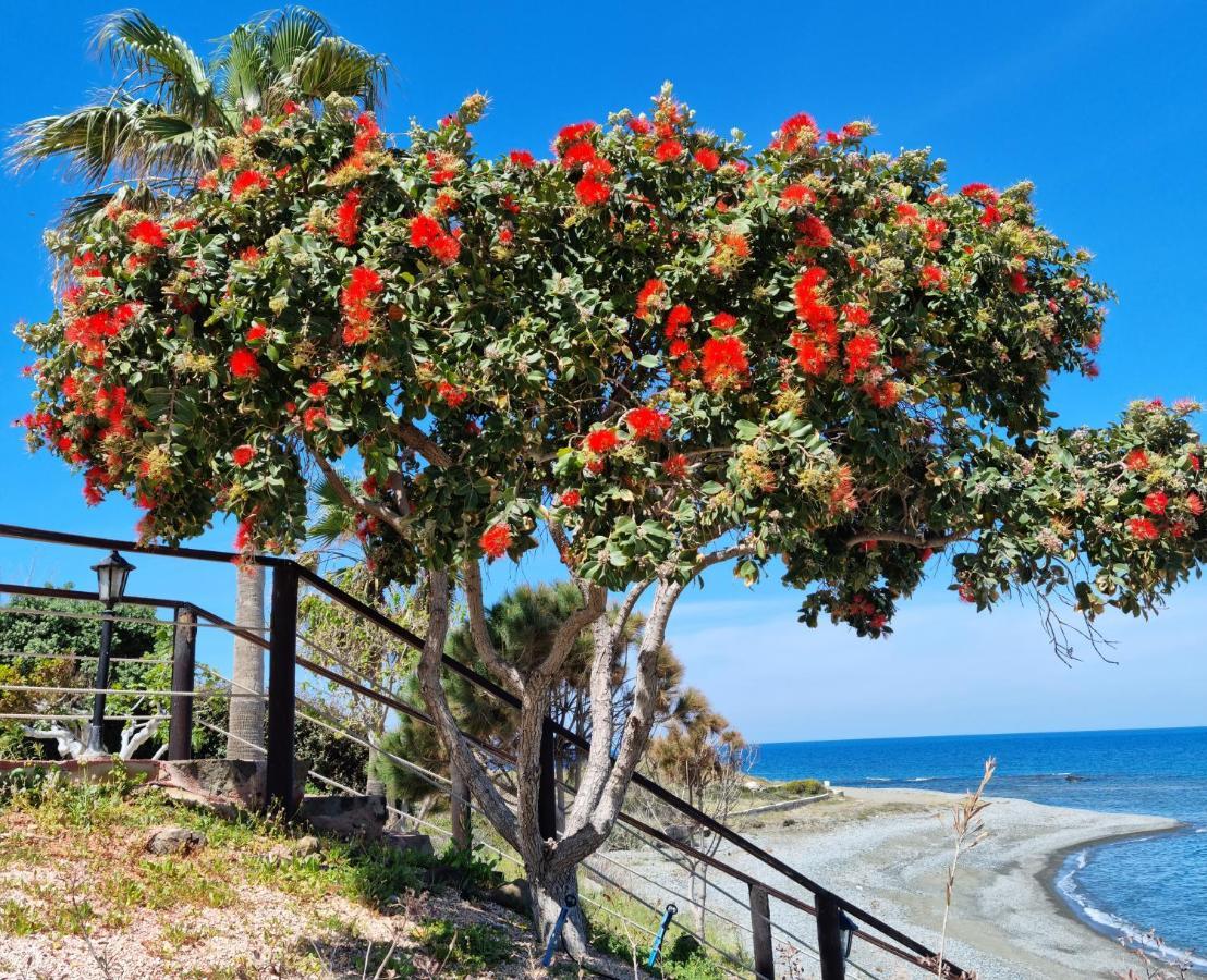 Astrofegia Beachfront Villa Pomos Exteriér fotografie